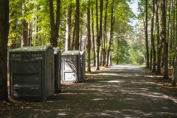 Best Luxury portable toilet rental  in Svis, IL